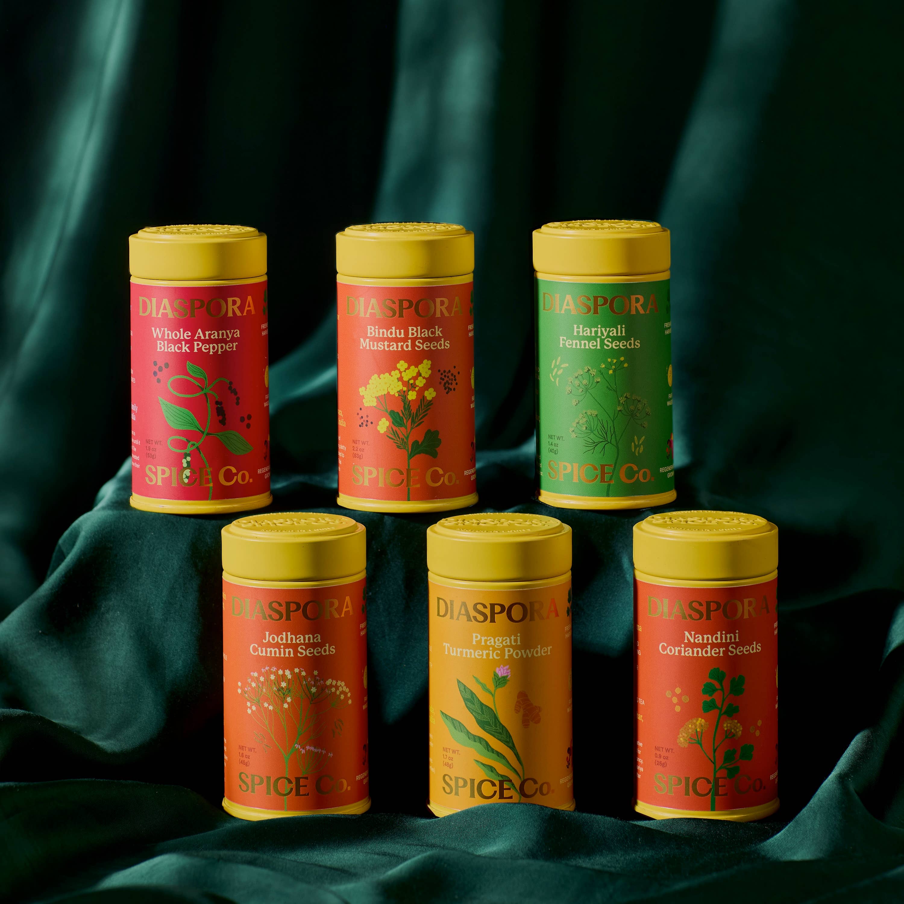 Pantry Essentials 6 Spice Sets