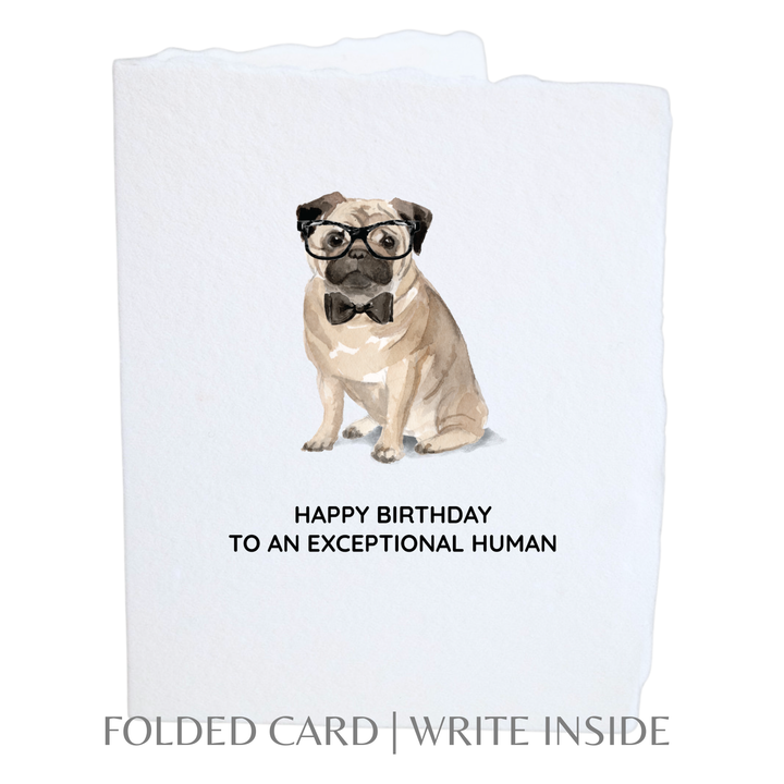 Card | Birthday Pug Dog