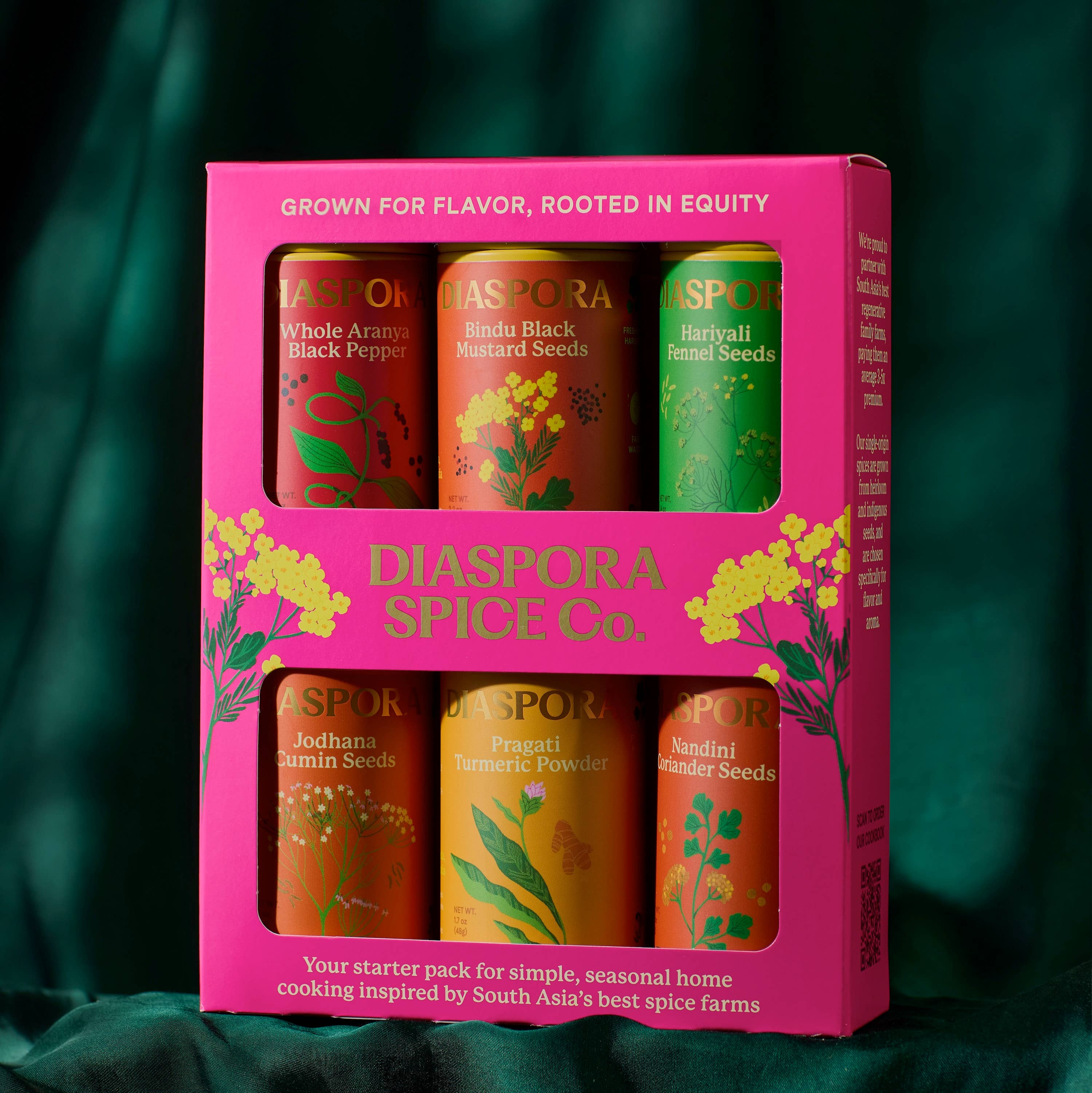 Pantry Essentials 6 Spice Sets